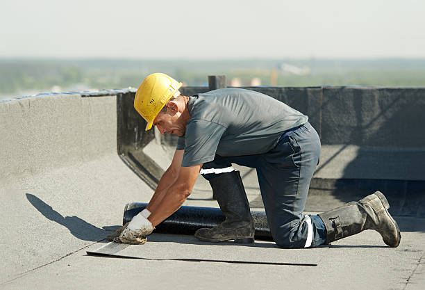 Best Garage Insulation Installation  in Williamsburg, FL