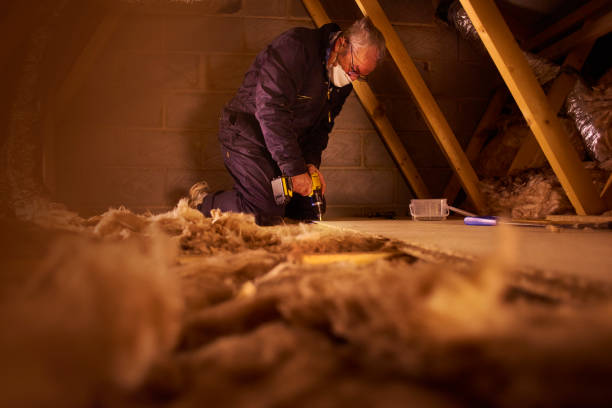 Best Cellulose Insulation  in Williamsburg, FL